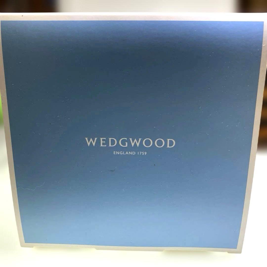 新品　未使用品　数量限定レア品  スノーグローブ　2022年