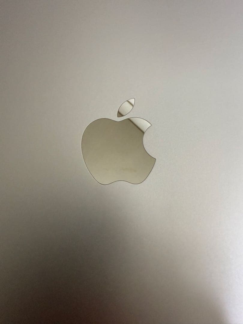 NekoiPad Pro 11inch 第2世代　256GB