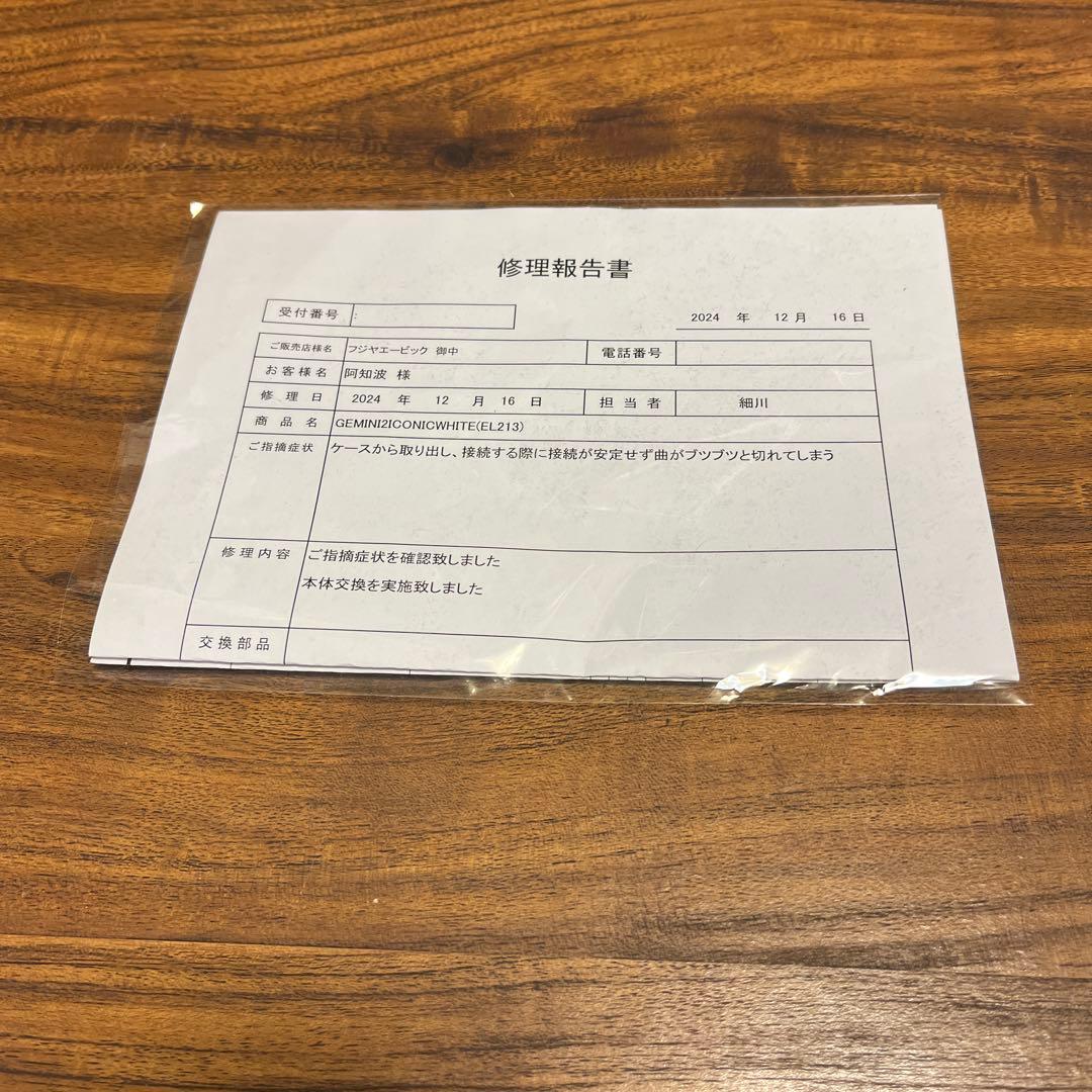 12月16日新品交換　DEVIALET GEMINI II