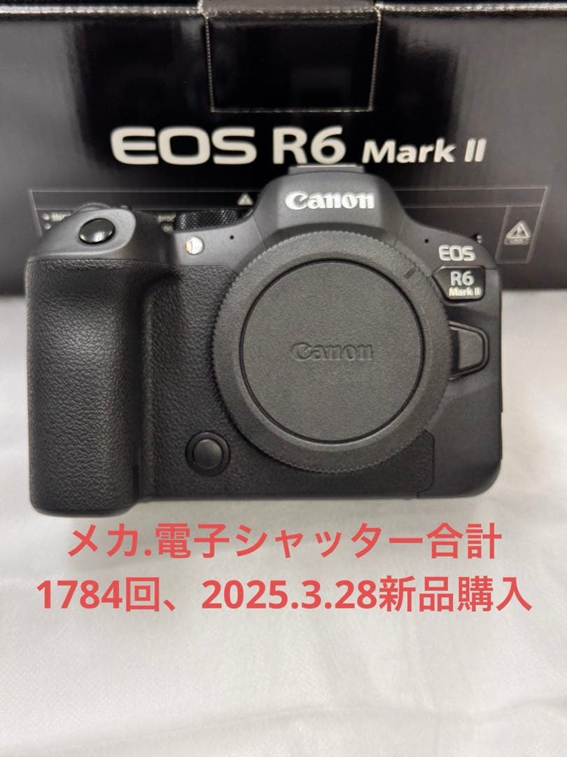 超美品　Canon EOS R6 MarkII ボディ