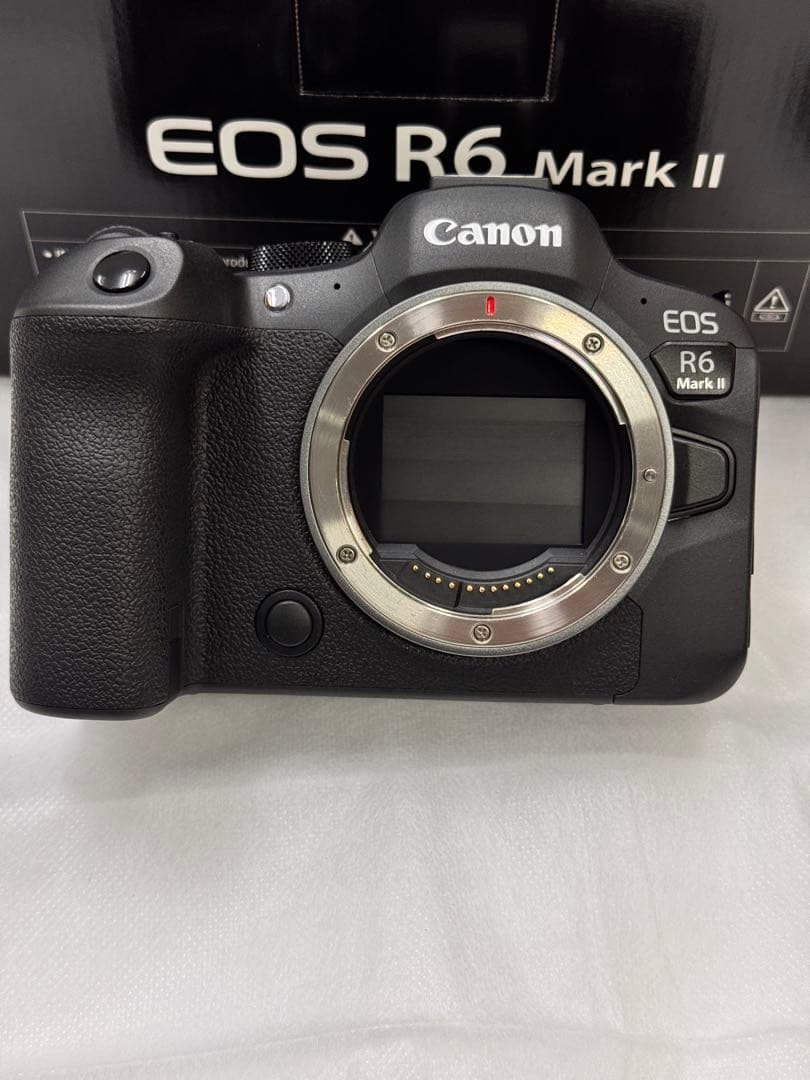 超美品　Canon EOS R6 MarkII ボディ