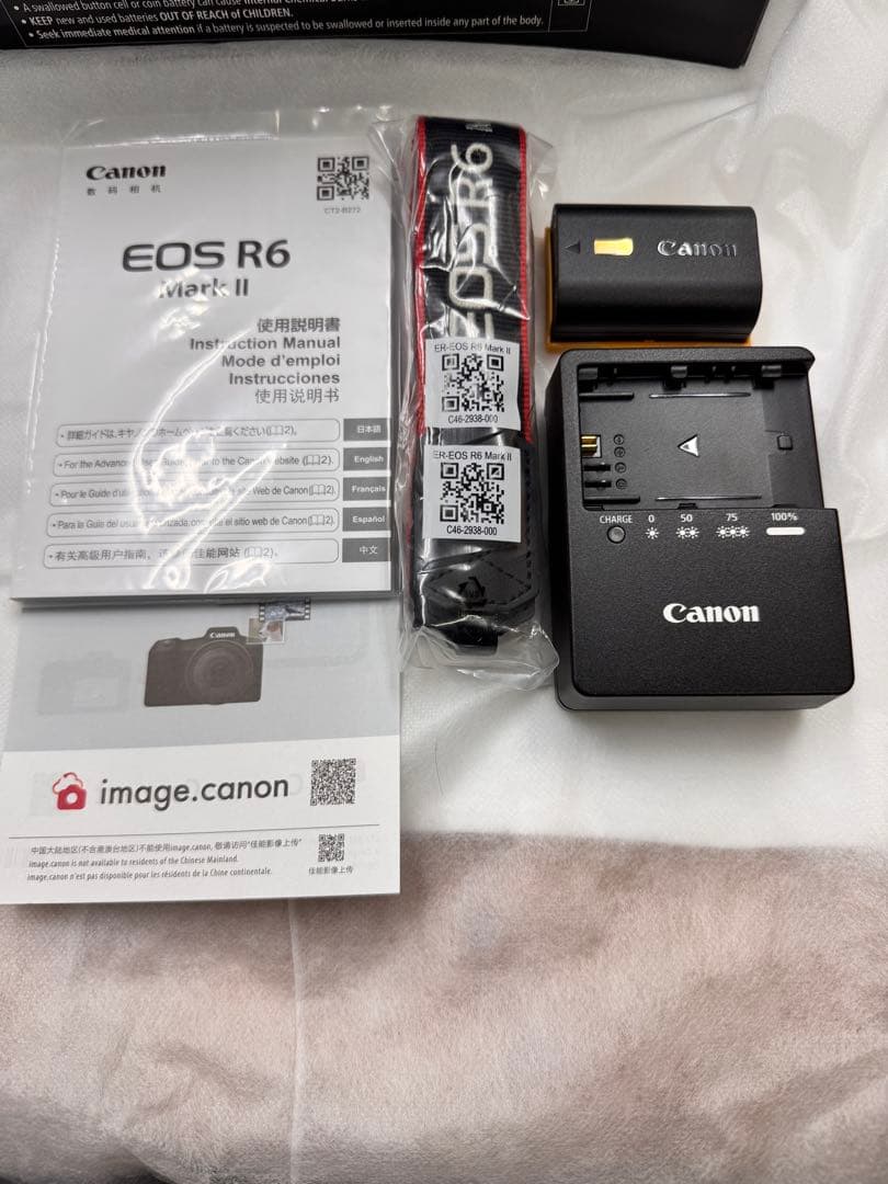 超美品　Canon EOS R6 MarkII ボディ