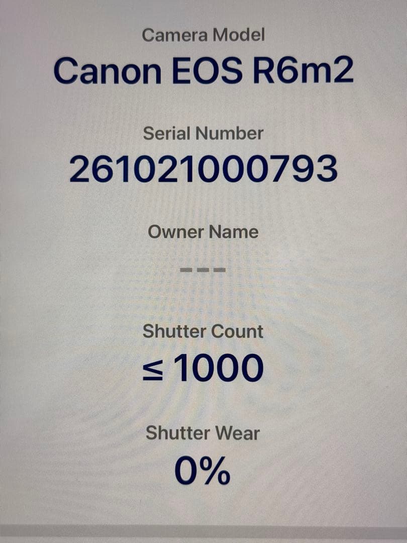 超美品　Canon EOS R6 MarkII ボディ