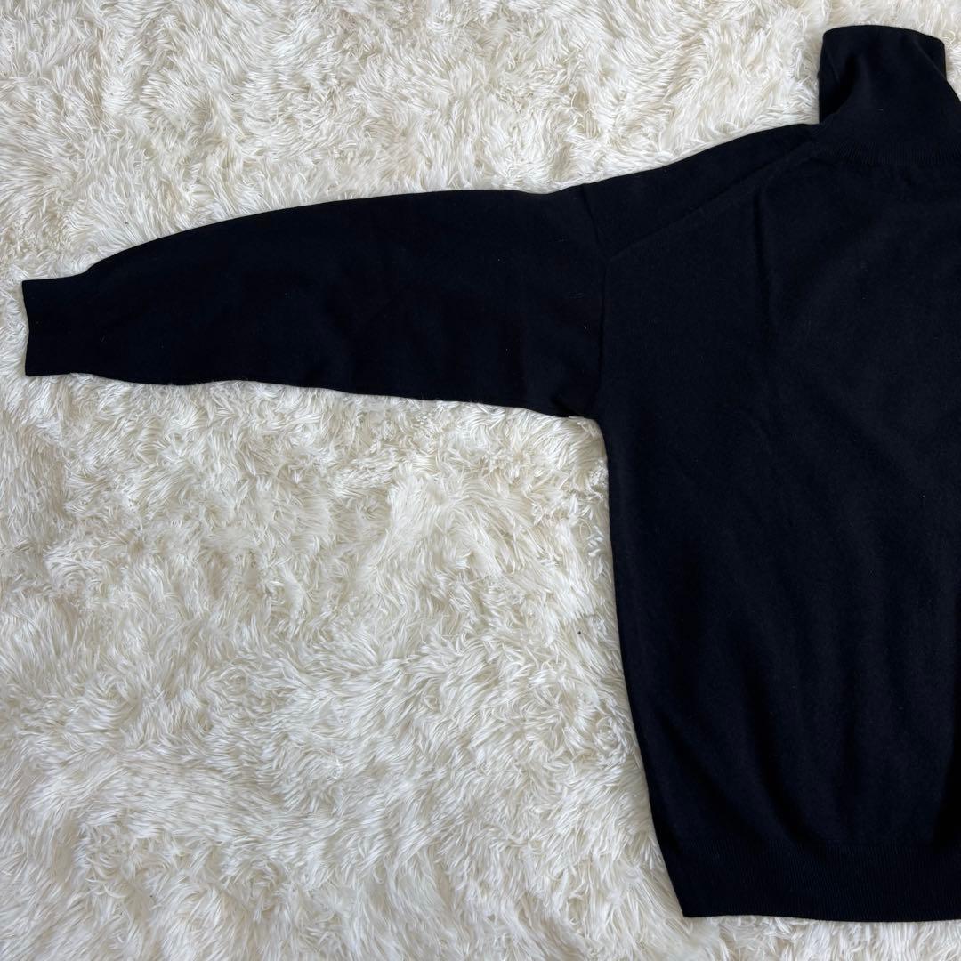 cash&barba キャッシュアンドバルバ モンゴリアンカシミヤ タートル　4