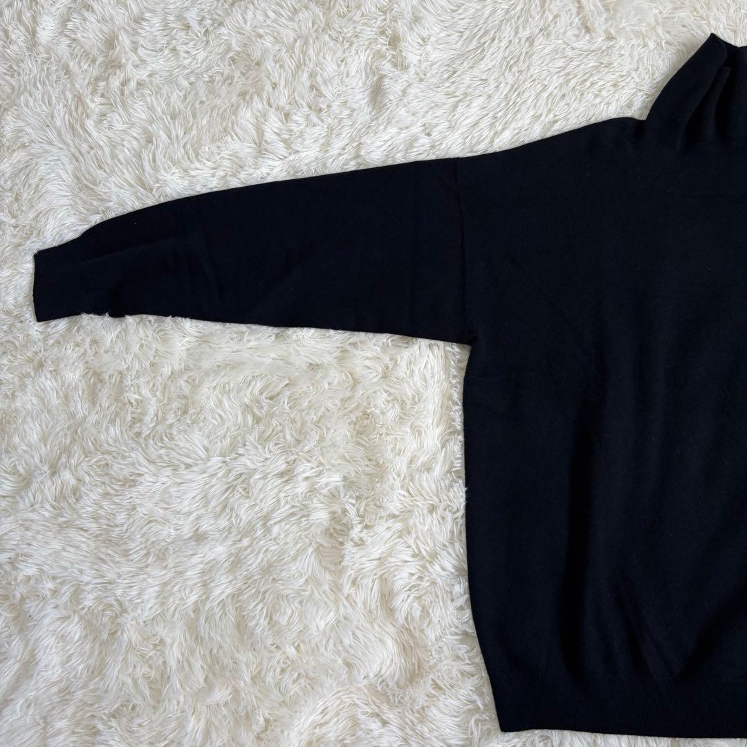 cash&barba キャッシュアンドバルバ モンゴリアンカシミヤ タートル　4