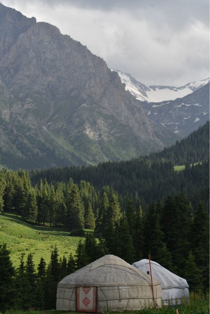 キルギスアトバシ産白いはちみつ、トクトグル高原マリアアザミ百花蜜セット200g