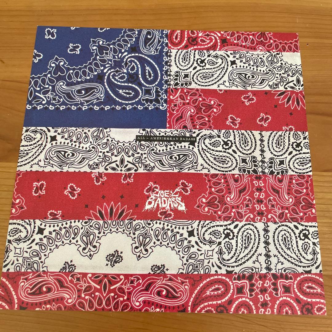 洋楽 JOEY BADA$$ ALL-AMERIKKKAN BADA$$