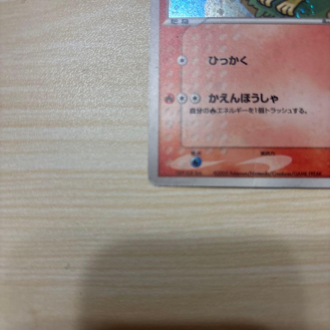 【新春値下げ】ポケパークのアチャモ 002/009