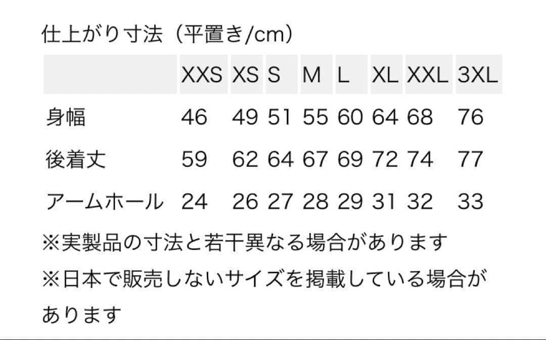 パタゴニア patagonia シンチラベスト L