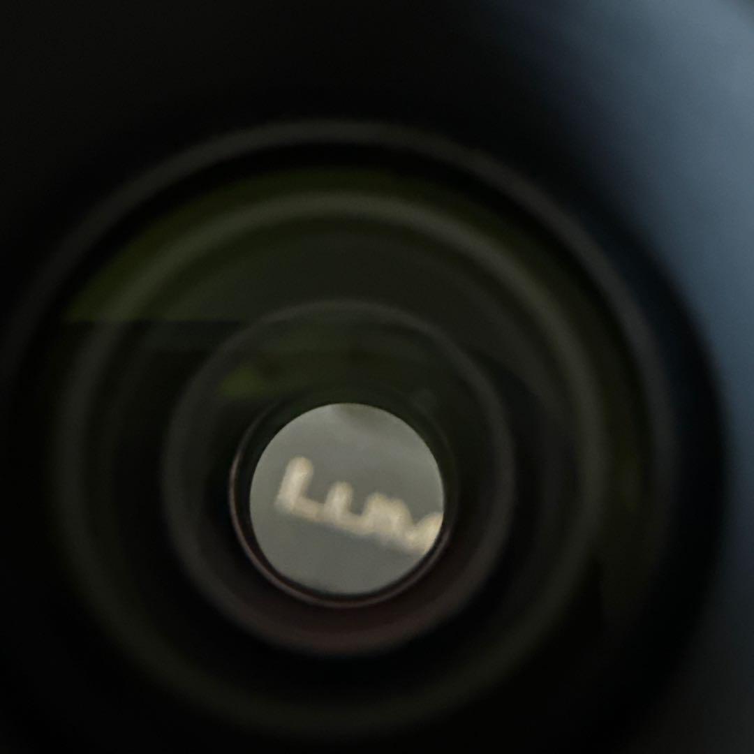 Panasonic H-FS045200 45-200mm ズームレンズ