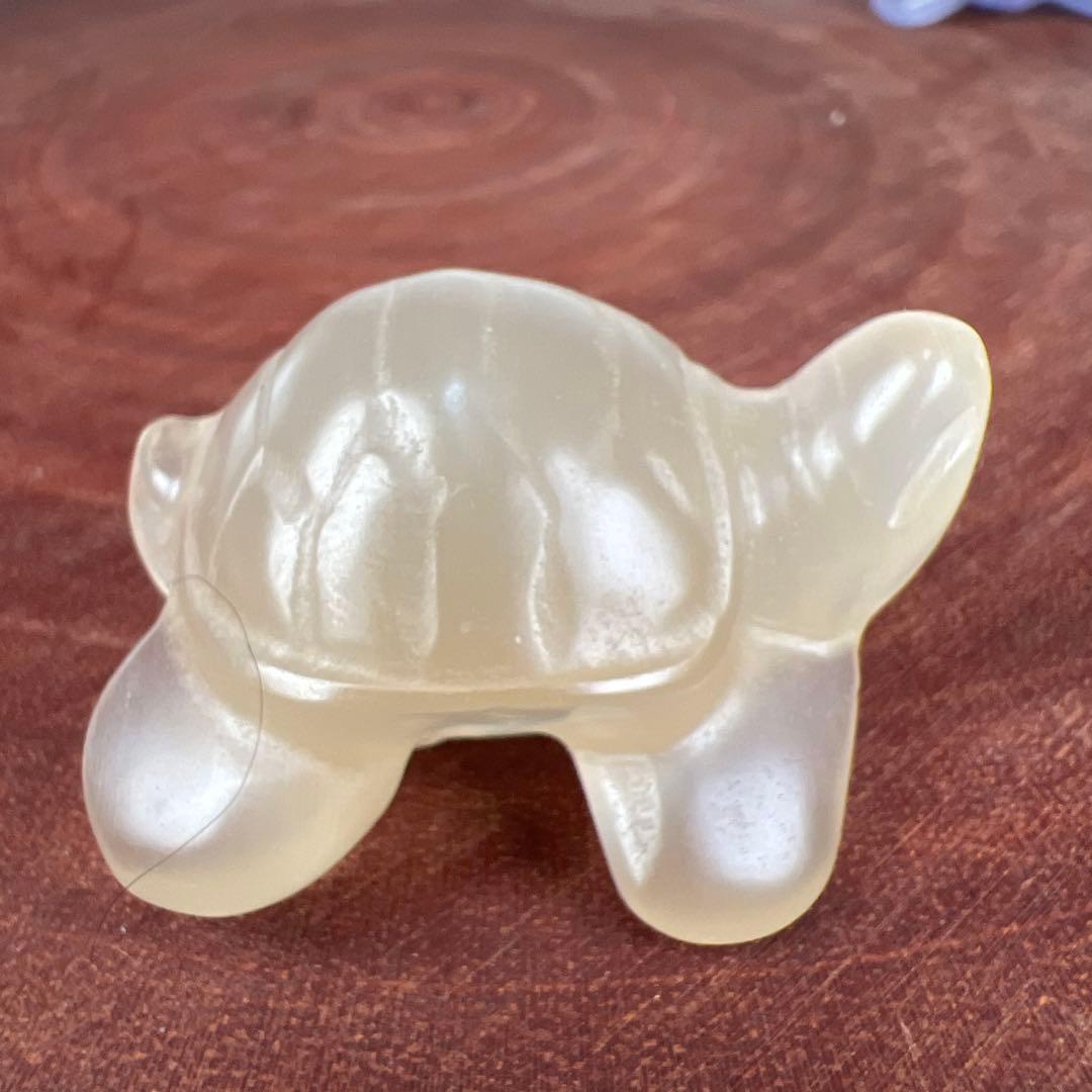 ❣️❣️❣️Aceth❤❤❤値引き不可様　シラーのかわいい亀　キャッツアイ　オレンジ