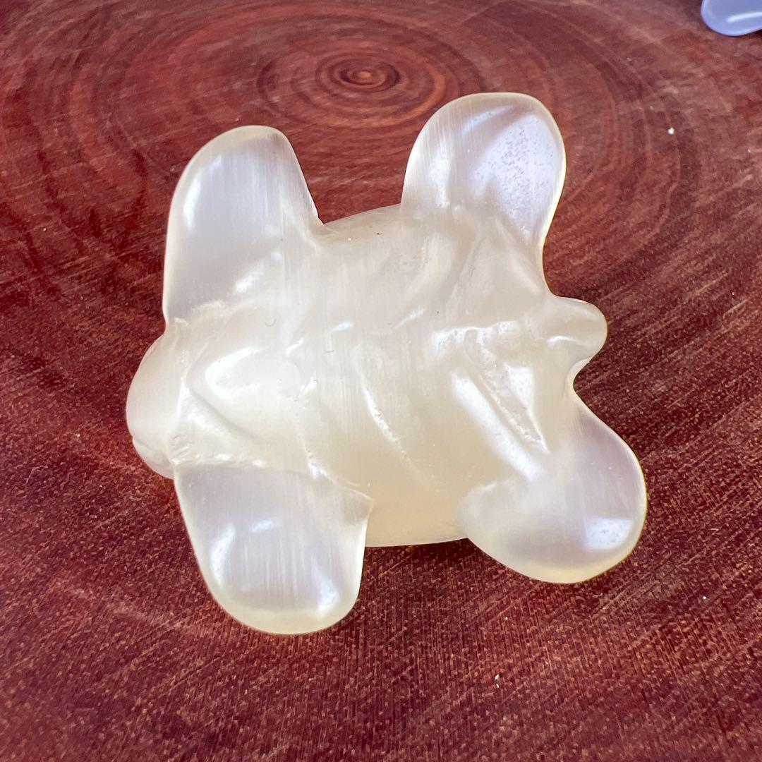 ❣️❣️❣️Aceth❤❤❤値引き不可様　シラーのかわいい亀　キャッツアイ　オレンジ