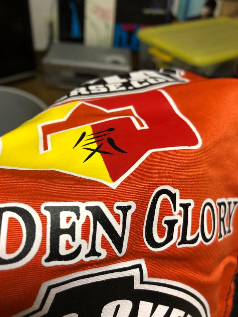 アリスターオーフレイム　ショーツ　ファイトショーツ　MMA GEAR レア　希少