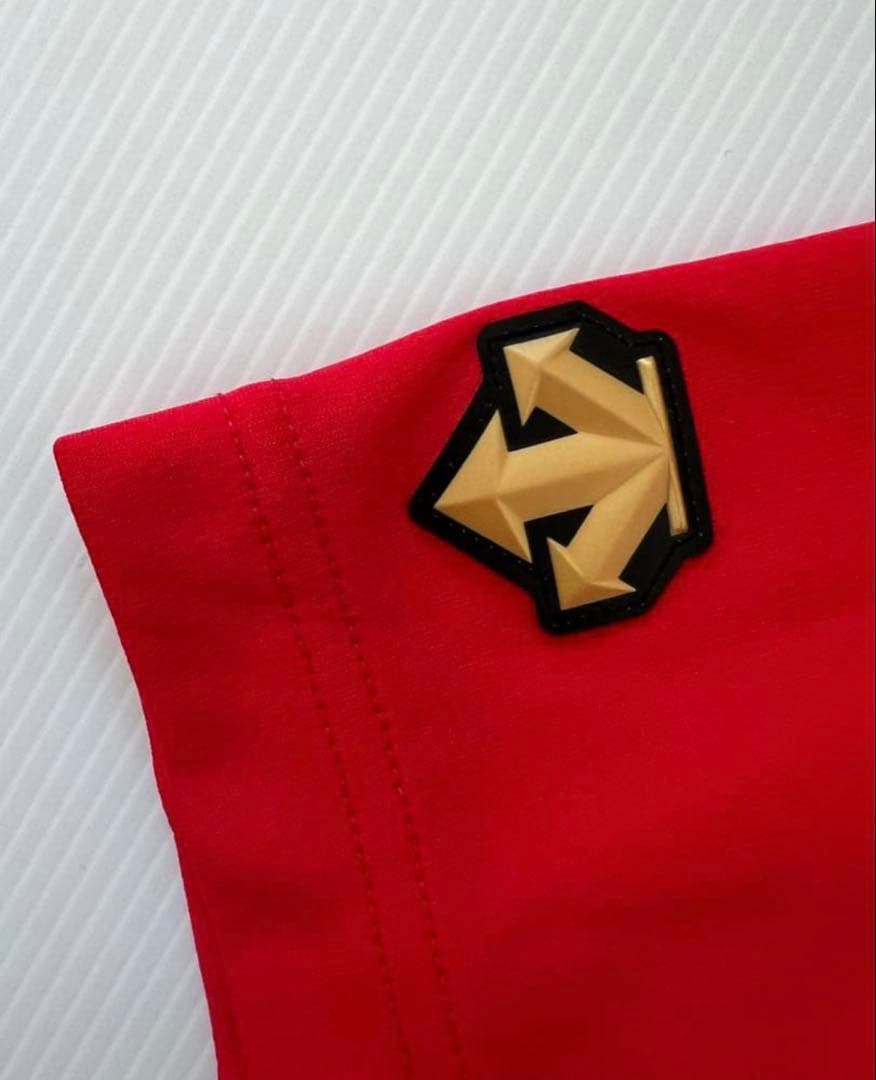 希少 レア デサント 大阪桐蔭 野球部 甲子園 優勝 ウェア V8 連覇 赤