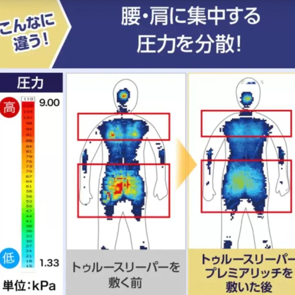トゥルースリーパープレミアリッチ