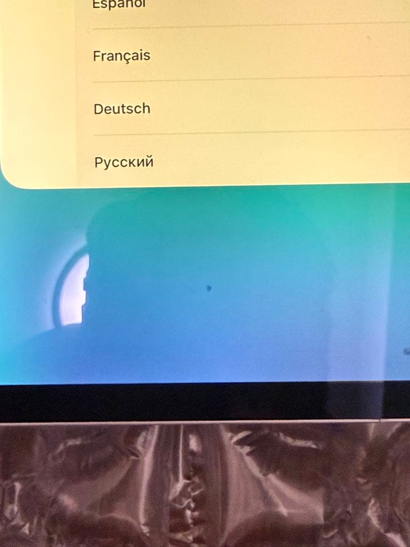 Apple シルバー 本体 iPadPro11インチ 第1世代 セルラーモデル