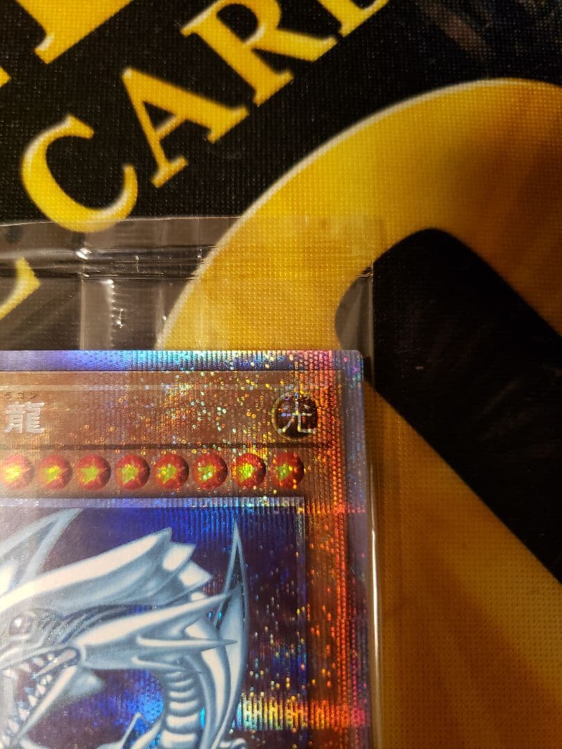 遊戯王 3000枚限定 青眼の白龍 プリシク