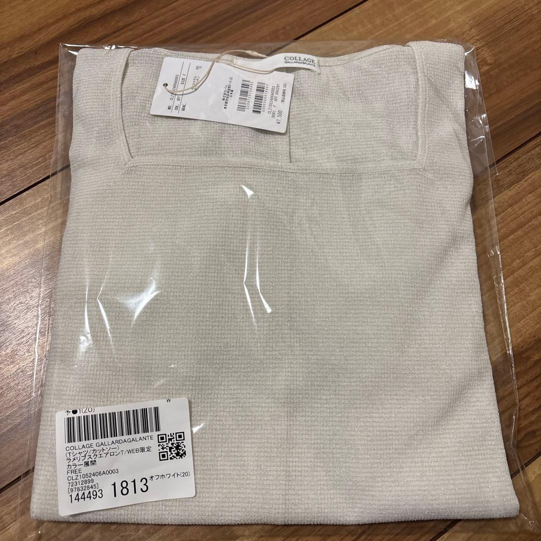 新品　COLLAGE GALLARDAGALANTE　シアーラメリブカットソー