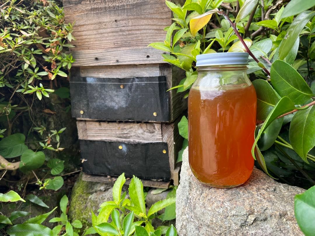 E*i様 ☆天然☆日本ミツバチ百花蜜1200×2本セット