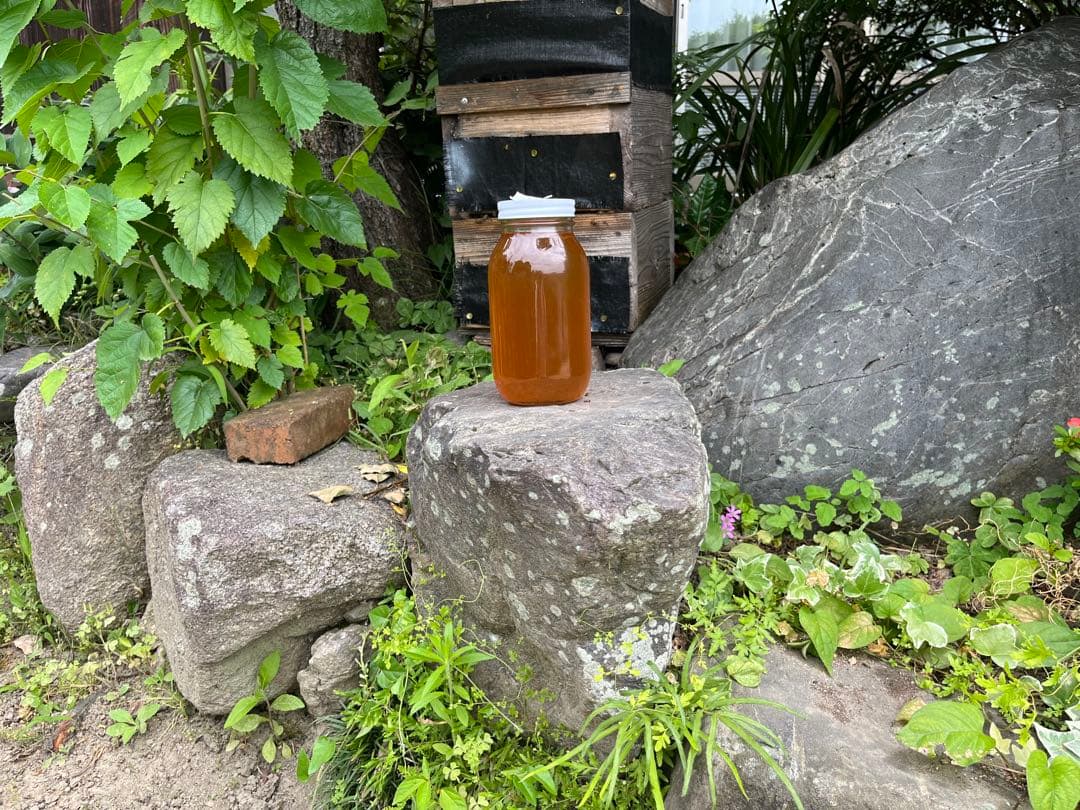 E*i様 ☆天然☆日本ミツバチ百花蜜1200×2本セット