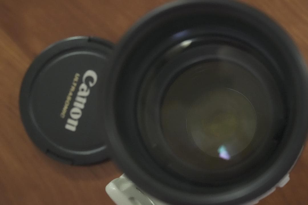 CANON ズームレンズ EF70-200㎜ F2.8L IS USM