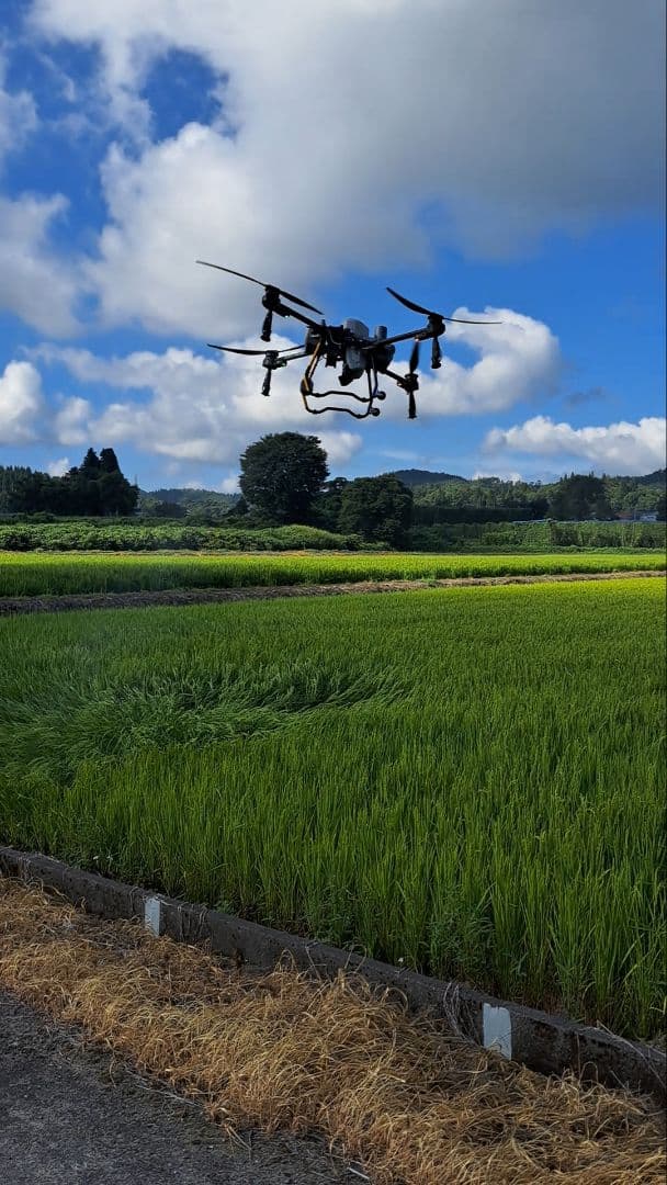 山形県尾花沢産　つや姫・雪若丸　10㎏(各5㎏×1袋づつ)