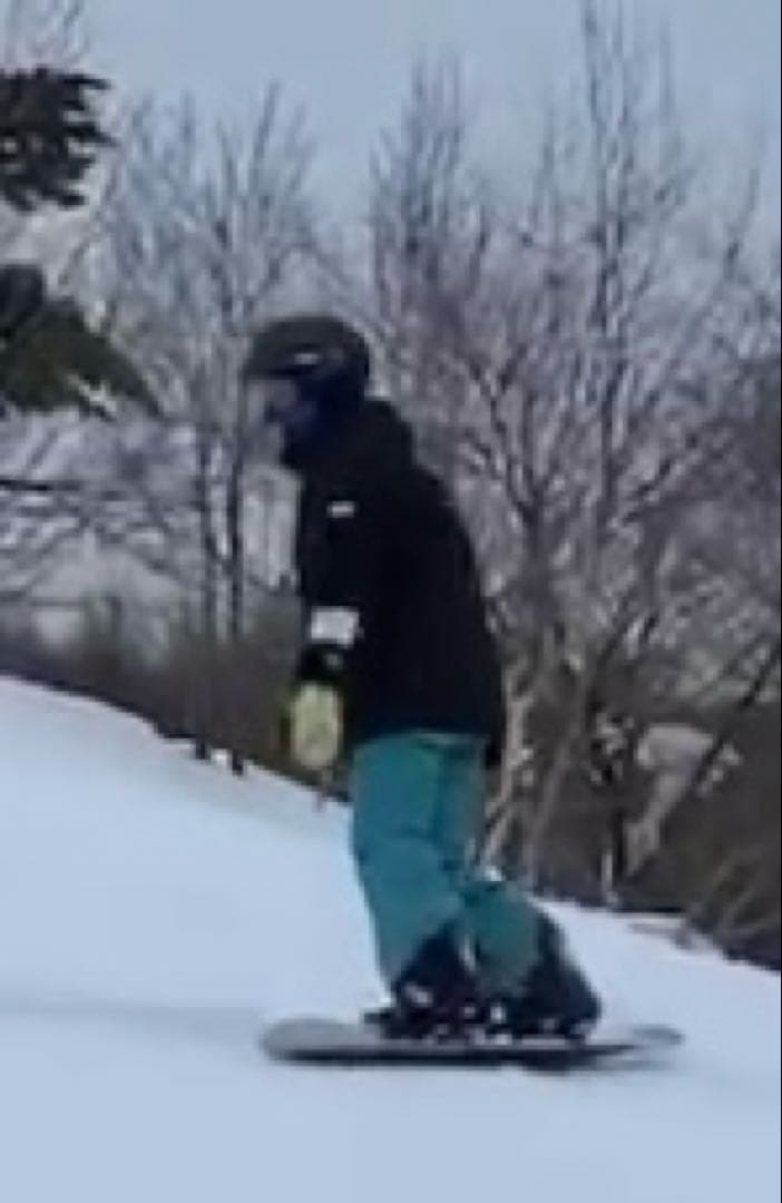 スキーウェア スノーボードウェア Mサイズ レディース スカラー scolar