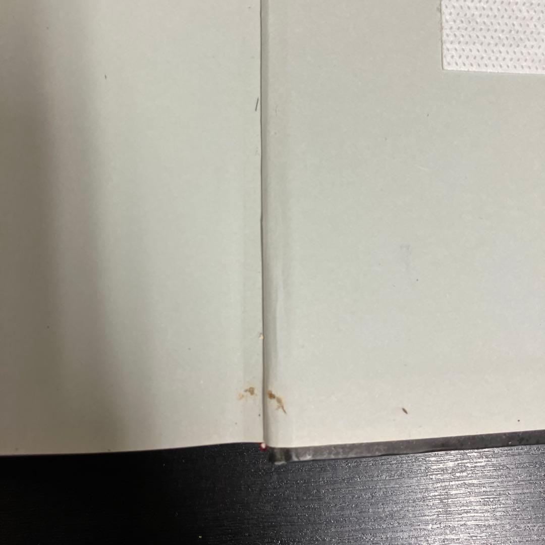 GAME PROGRAMMING GEMS : 日本語版 8 レア 貴重 希少