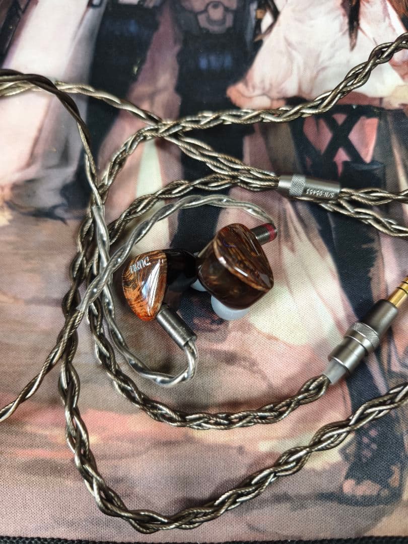 DUNU DaVinci 　有線イヤホン