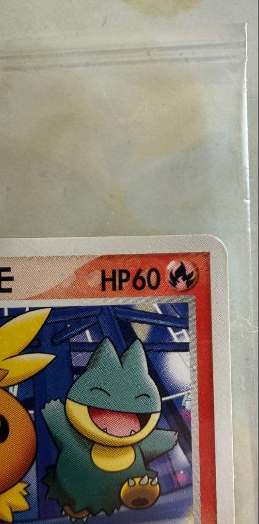 ポケパークのアチャモ プロモ 047/PCG-P ポケモンカード