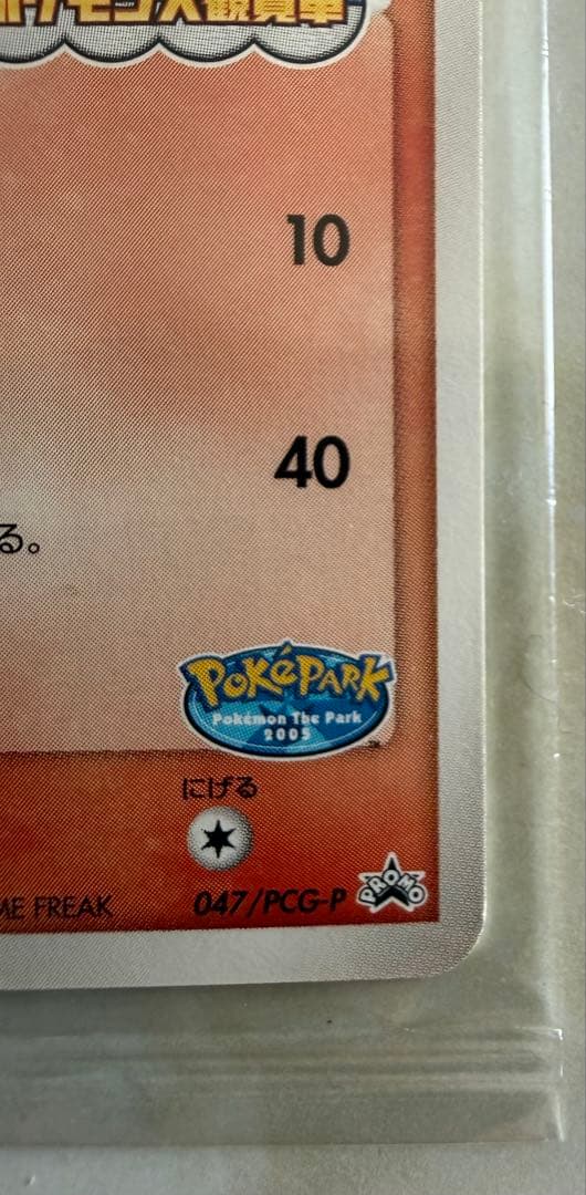 ポケパークのアチャモ プロモ 047/PCG-P ポケモンカード
