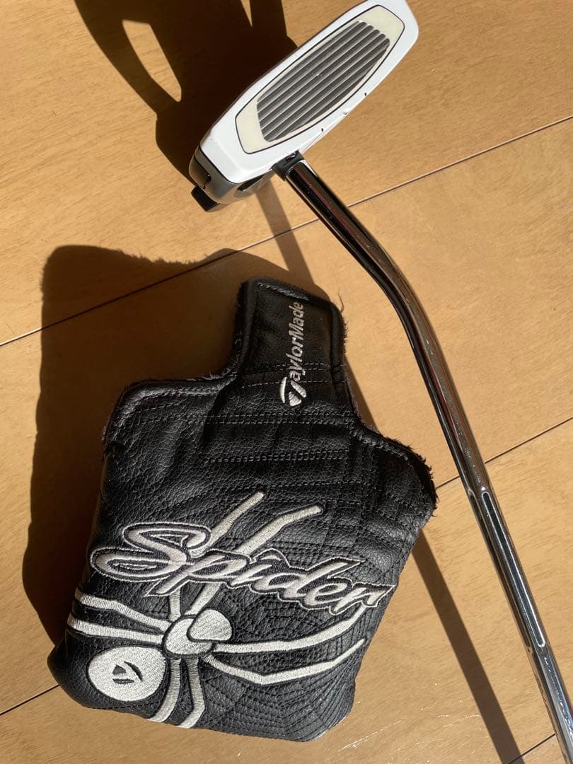 クラブ Taylormade Spider EX PLATINUM/WHITE 34