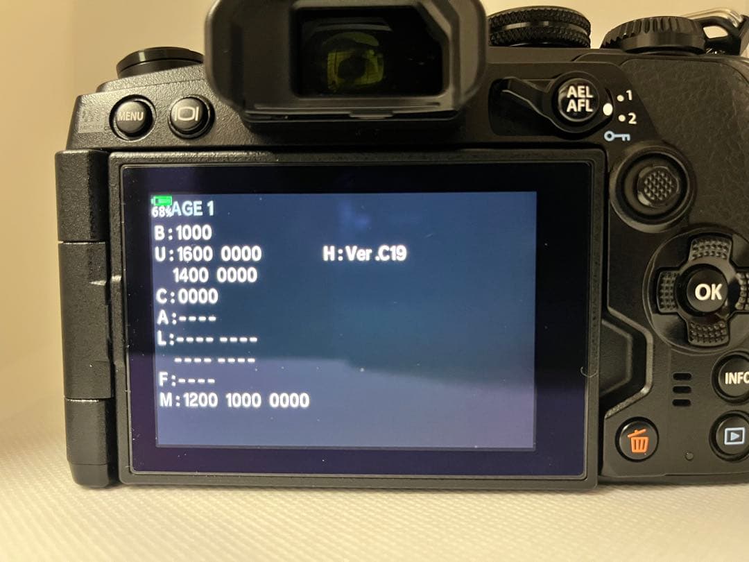 ショット8320回OLYMPUSOM-DE-M1 Mark IIIバッテリー2個