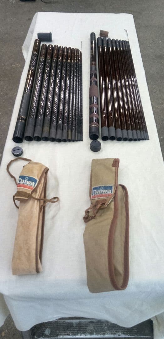 ダイワ　カーボウイスカー早蕨硬調53 &華厳中硬53　2本セット　良品