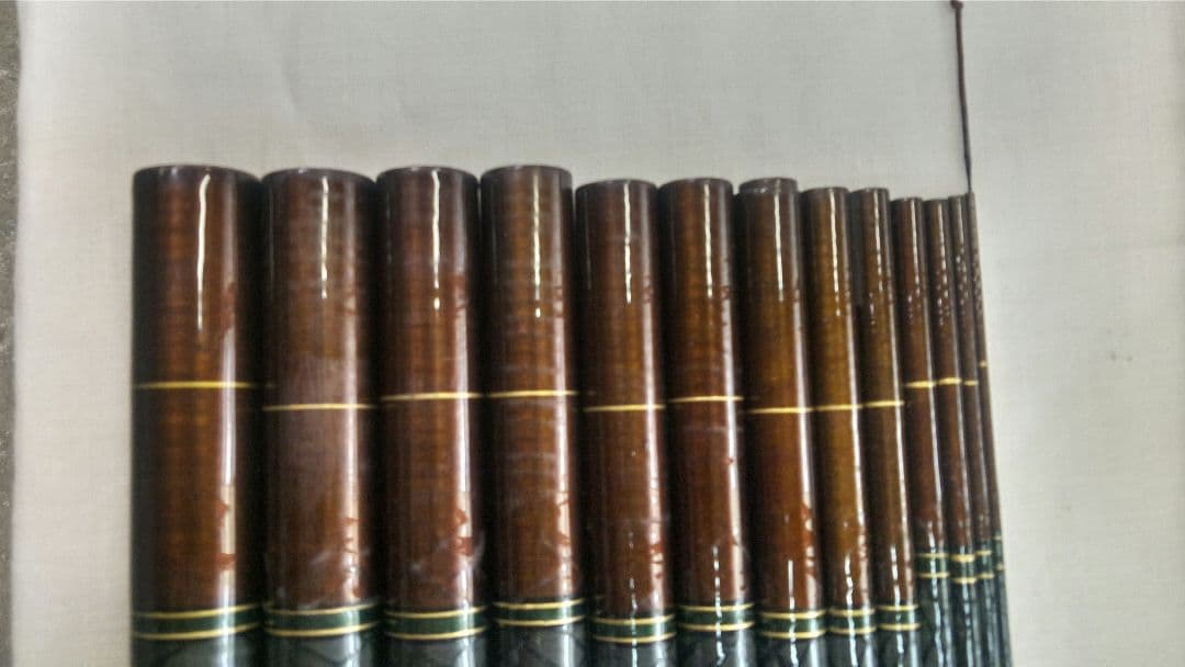 ダイワ　カーボウイスカー早蕨硬調53 &華厳中硬53　2本セット　良品