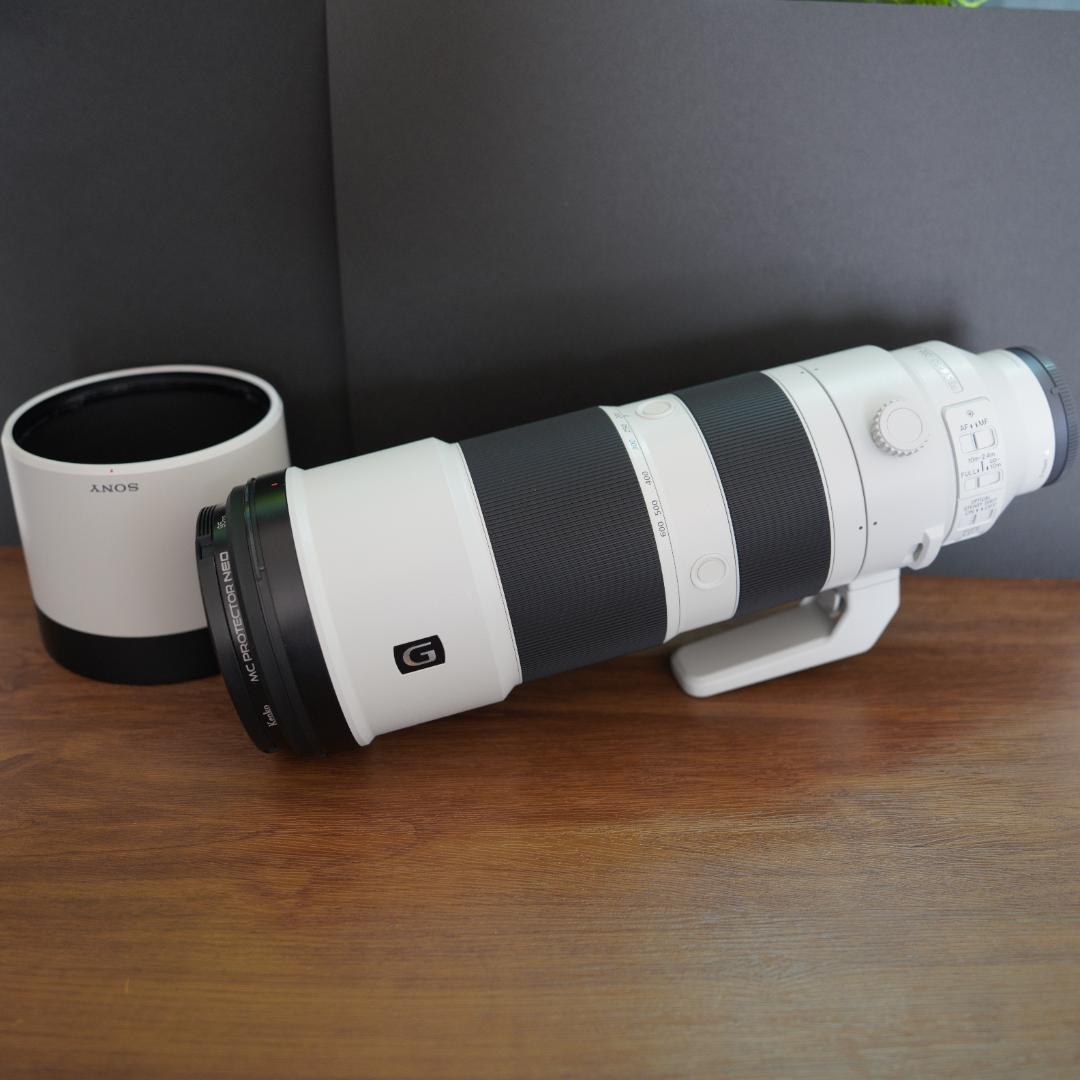 レンズ(ズーム) SONY SEL200600G