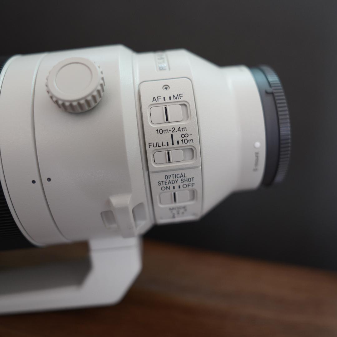 レンズ(ズーム) SONY SEL200600G