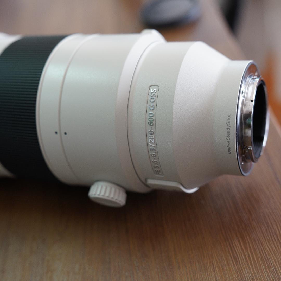 レンズ(ズーム) SONY SEL200600G