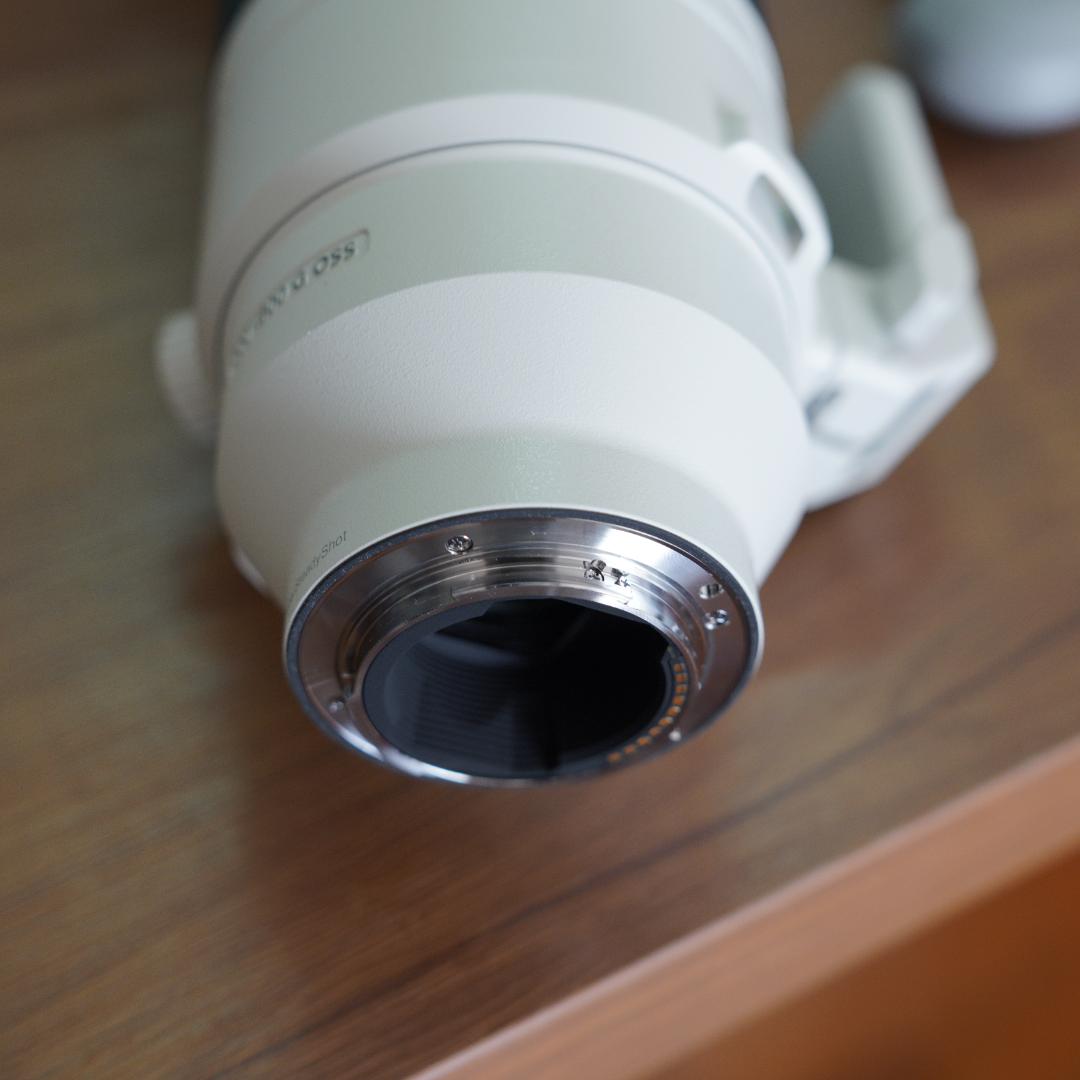 レンズ(ズーム) SONY SEL200600G