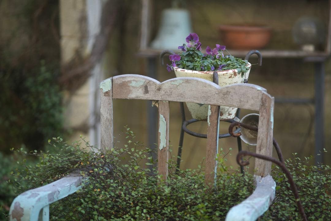 レンズ(単焦点) Canon EF 200mm F2.8L