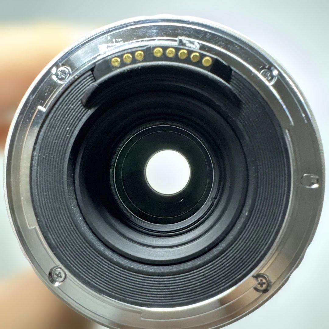 美品 Kenko EFマウント TELEPLUS PRO 300 3X テレコン