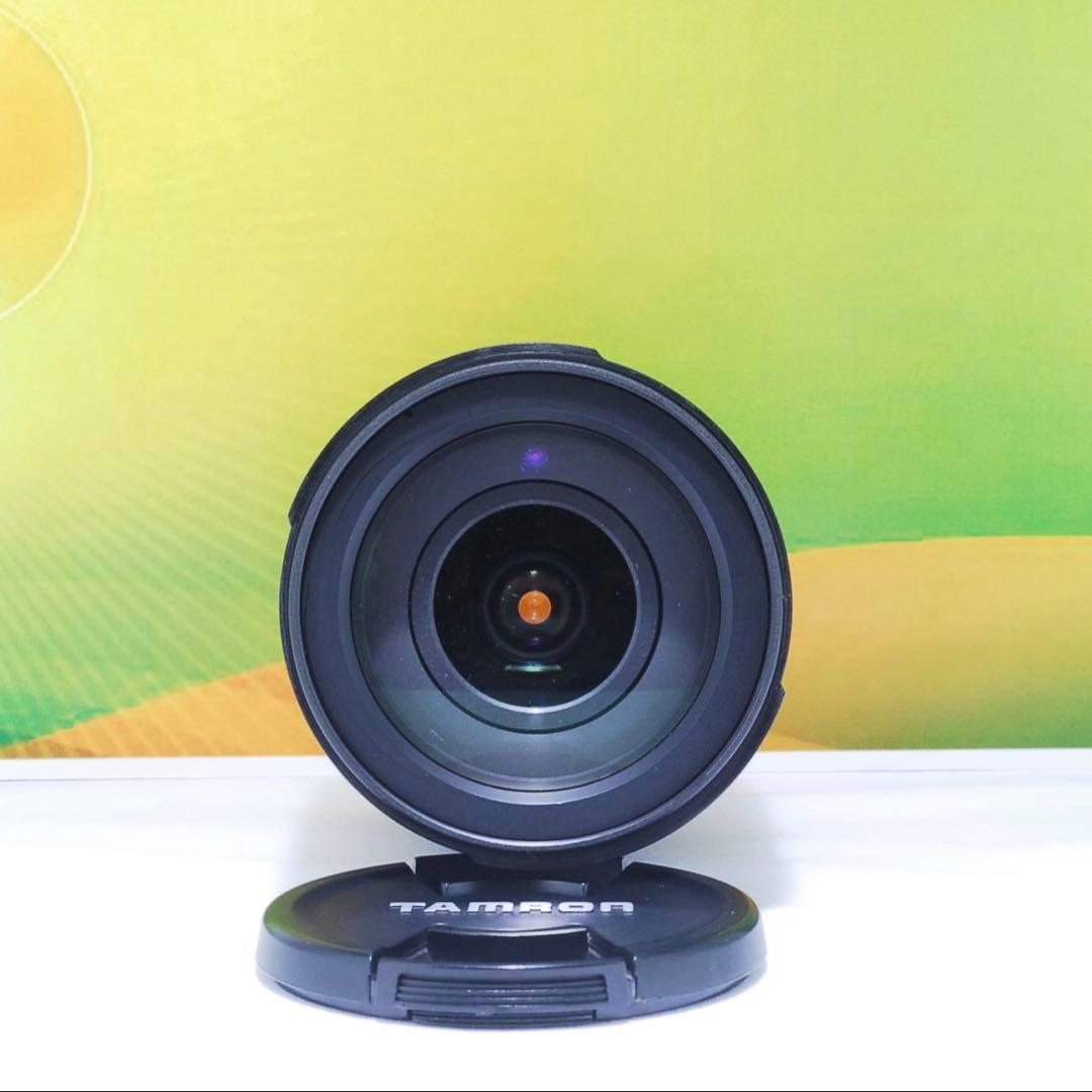 高倍率✨TAMRON 18-270mm Di II VC PZD Canon用