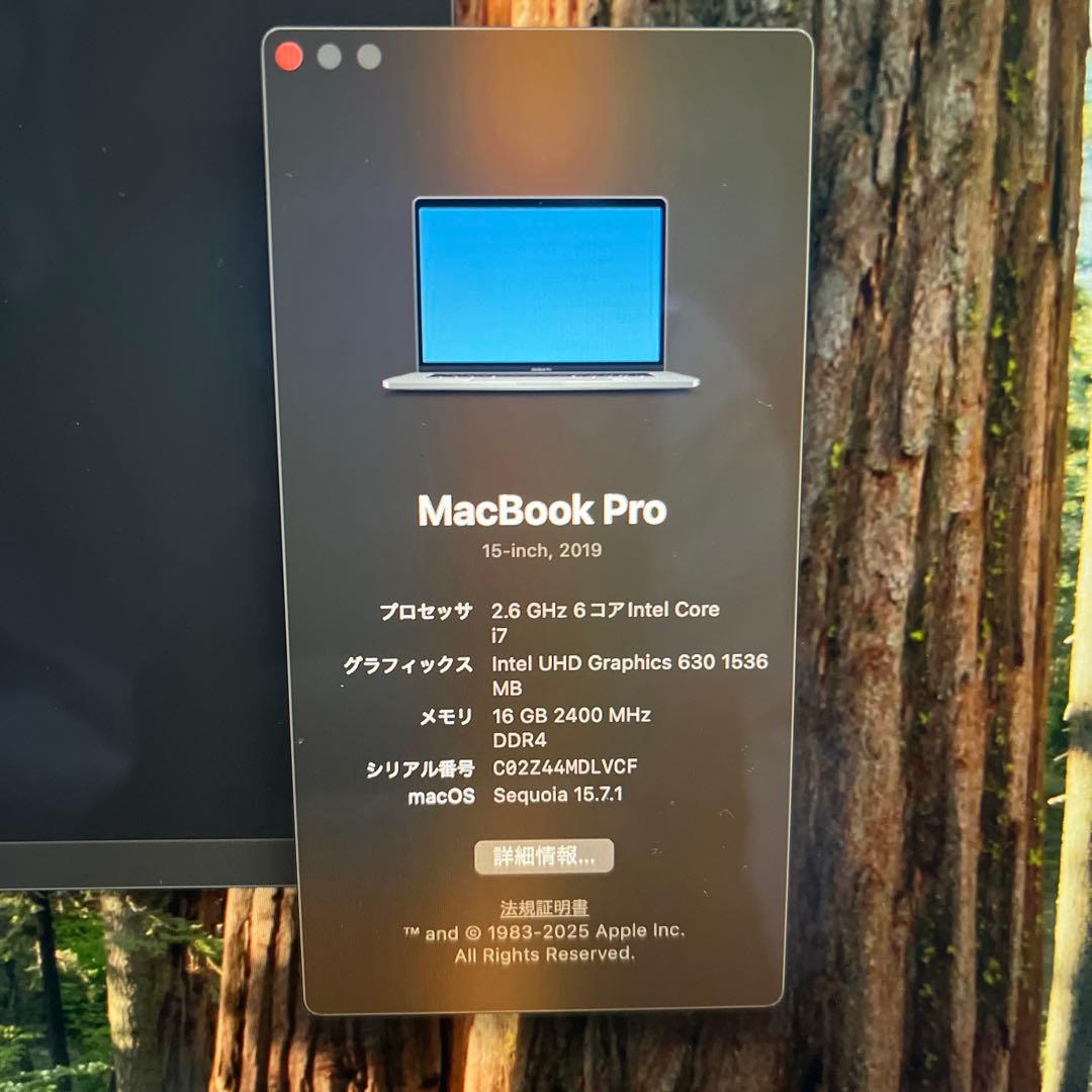 MacBook本体 MacBookPro 2019 15inch corei7