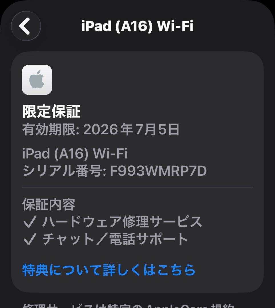 Apple iPad 第11世代/A16 / 128GB Wi-Fi /保証付き
