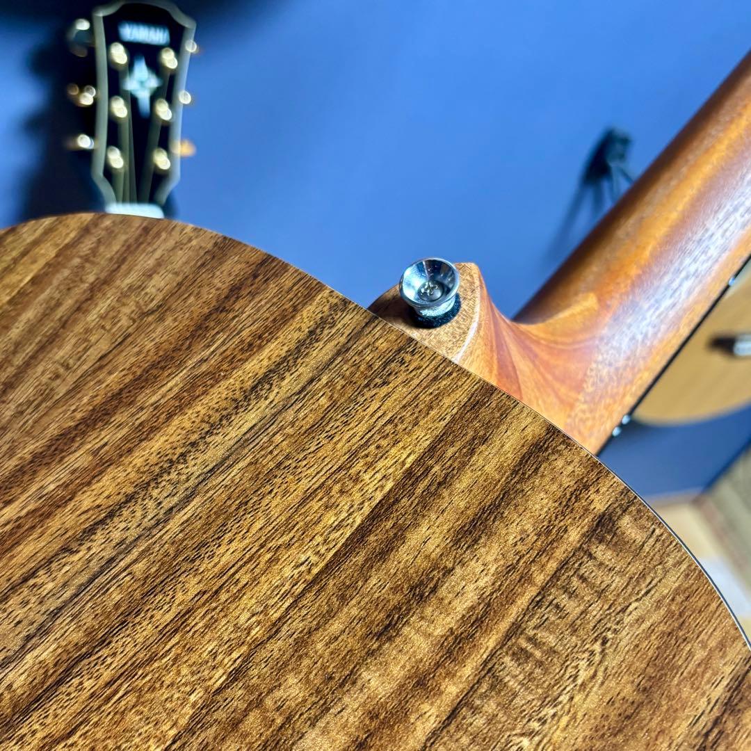 【美品】James トランスギターJ-100A MHT ギグケース付属