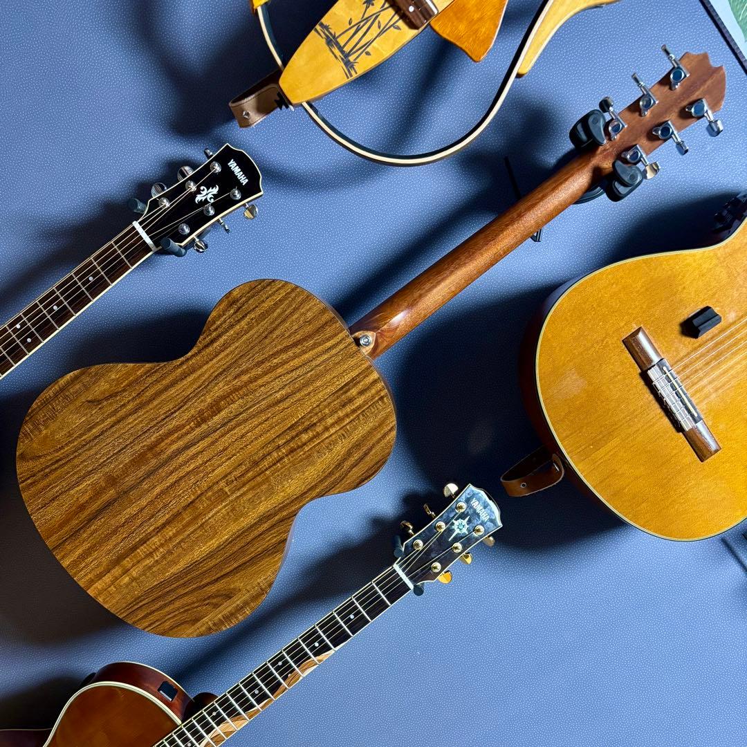 【美品】James トランスギターJ-100A MHT ギグケース付属