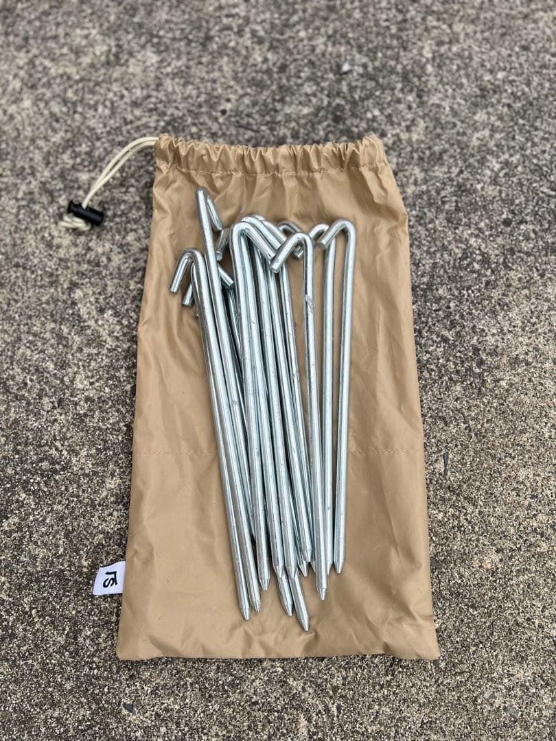 サバティカル　モーニンググローリーTC