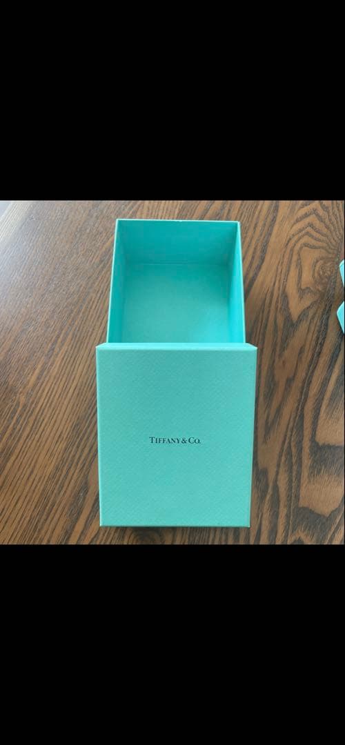 【鑑定付き正規品】ティファニー Tサークル ネックレス ダイヤモンド3.3g