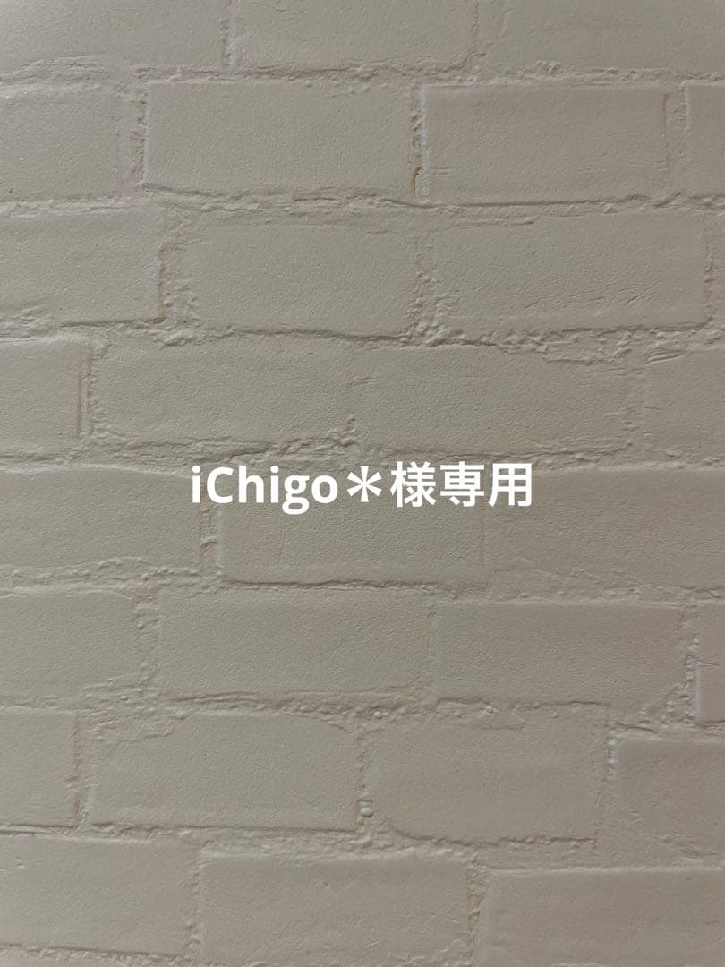 iChigo＊様おまとめ
