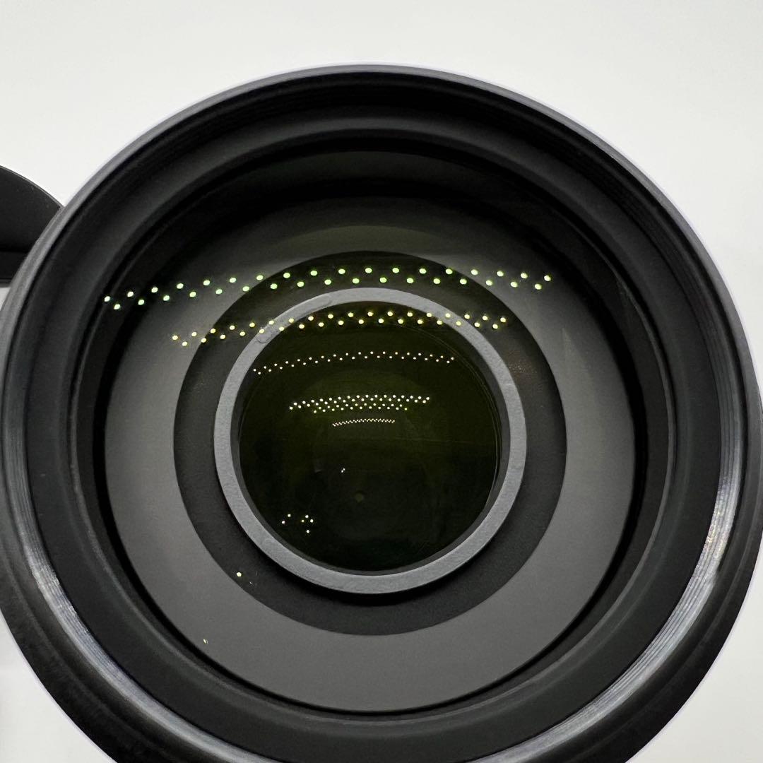 Nikon AF-S DX NIKKOR 55-300mm 望遠レンズ